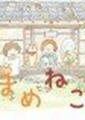 豆猫